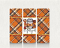 Orange Plaid - 2
